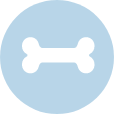 bone icon